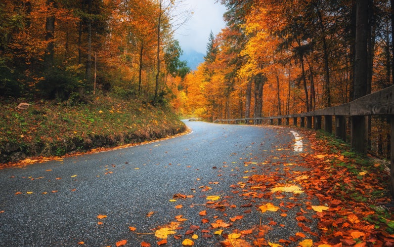 fall road trips